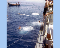 1968 05 05 South Vietnam - Swim Call  lots of splashing going on.jpg